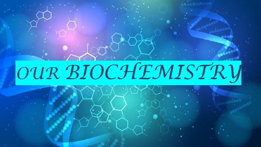 Our Biochemistry.com