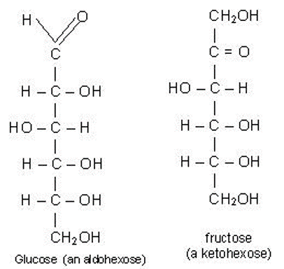 Isomerism In Monosaccharides | Our Biochemistry- Namrata Chhabra