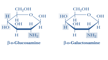 Chemistry Of Carbohydrates Archives | Our Biochemistry- Namrata Chhabra