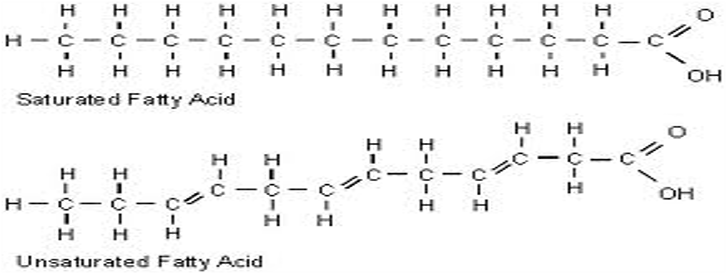 Fatty Acid Oxidation- (General Introduction)-Lecture-1 | Our ...