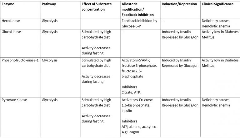 Summary- Regulation Of Major Pathways Of Carbohydrate Metabolism | Our ...