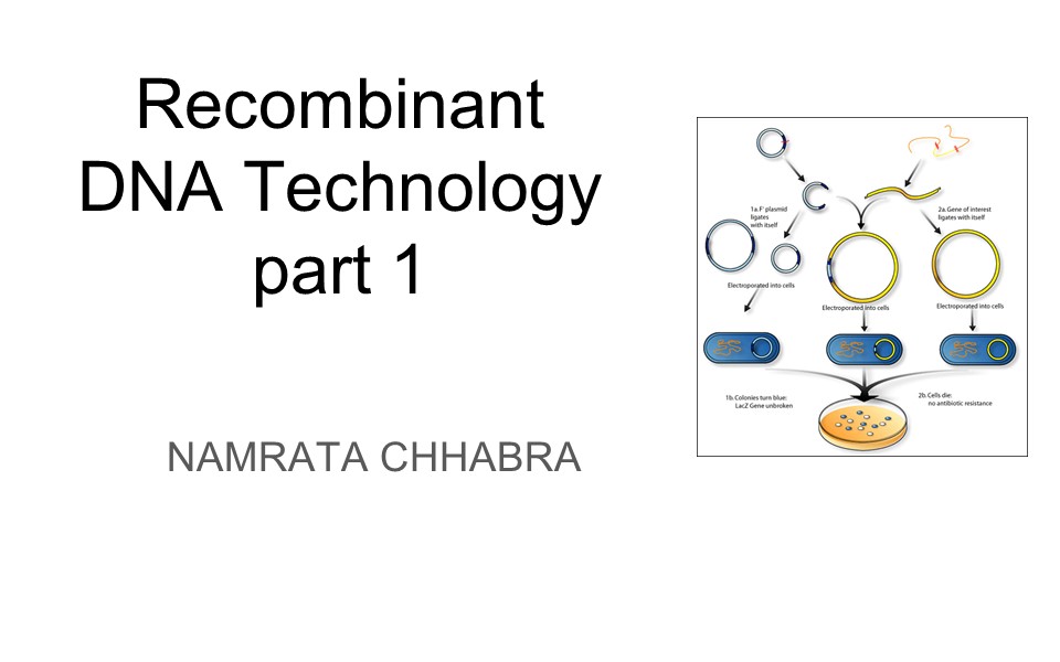 Recombinant Dna Technology Part 1 Our Biochemistry Namrata Chhabra